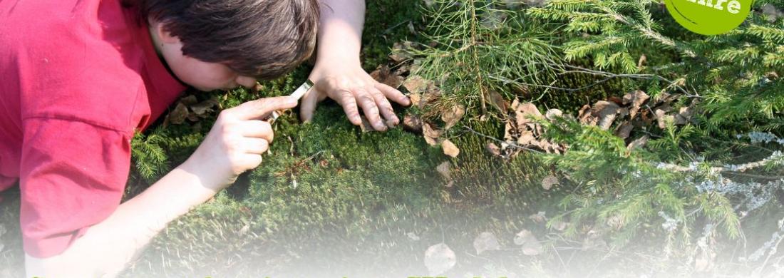 Ein junger Mensch betrachtet mit einer Lupe Moos im Wald