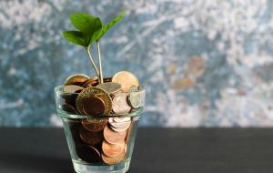 Aus einem Glas mit Münzen wächst eine Pflanze